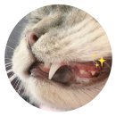 유앤동물의료원 이미지