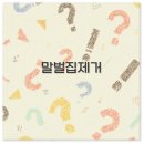 2025 말벌집 제거 방법과 비용부터 119 신고까지 깔끔 정리