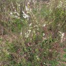 최도원 태권도 아카데미 이미지