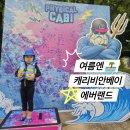 24년 여름도 아이랑 캐비지! 캐리비안베이 데이베드 야간 에버랜드 불꽃놀이 ❤️