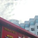 꽃보다소 이미지