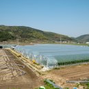 삼촌농장 이미지