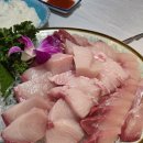 5992 | 서울 3대 방어 맛집 완도산회포장마차 송파직영점 내돈내산 솔직후기