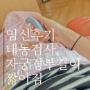 둘째임신 : 에덴병원 33주 태동검사, 자궁경부길이 짧아짐 약처방