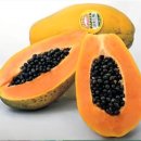 공골농장 이미지