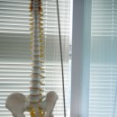 진주참신경외과의원 이미지