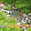 일모목장 네이버블로그