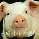 가락로11길 이미지