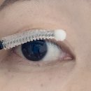 아침 저녁 썸블라썸 블랙속눈썹영양제 투명속눈썹영양제 사용후기