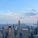 뉴욕도그랜드 이미지