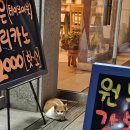 마시쩡 | 묵호항맛집 &#34;부흥횟집&#34; 솔직후기 + &#34;일출꽈배기&#34; 타코야끼,꽈배기 마시쩡~