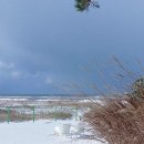 바다가 되고싶은 비 | [태안 펜션] 태안 감성 숙소 @바다가 되고싶은 비