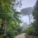 흙내음풀내음 이미지