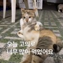 세자매고깃집 - 제천시 | 세자매고깃집
