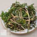 온천강변1길 이미지