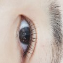 하대동319 이미지