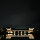 이제 경주 이미지