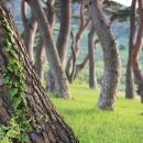 대곡마을 이미지