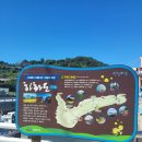 상,하화도2608 이미지