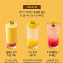 마억두의 샤브올데이 인천주안점 무지개생망고, 치앙마이망고 후기