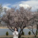 (주)강가의 나무 이미지