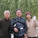 권영인농장 동아일보