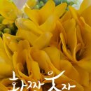 과일인생