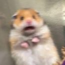 백정형외과의원 이미지