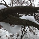 제눈에안경 이미지