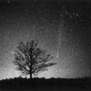 하늘양푼 이미지