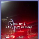 대구고양이분양 테디럽 | 구미고양이분양 테디럽 인상에 남은 곳