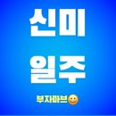 신미 이미지