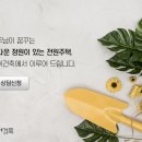 엔아이 이미지