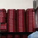 광나루로 | 탐나는 피자 건대점ㅣ쿠팡이츠 픽업 후기