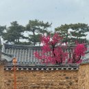 남평문씨본리세거지 주차장 이미지