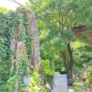 대한의백 이미지