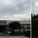 정겨운한식뷔페 이미지