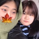 야인야식 이미지