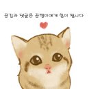 가평수영장펜션 / 가평풀빌라펜션 / 럭셔리 스파 월풀 디파우제펜션 다녀온 순도 100% 후기 ~
