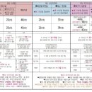 다세울 | 가성비 본식DVD 추천 '세울스냅' 예약후기(짝꿍코드 공구할인 최대할인방법)