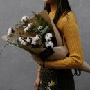 오블리비아떼 이미지