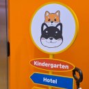 돈워리독 이미지