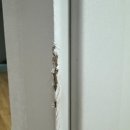 서초대로25길 76 (1) 이미지