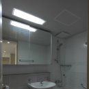 천년나무7 A 이미지