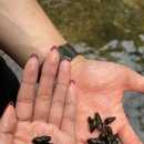 하늘로열린창 이미지