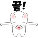 백구야놀자 이미지