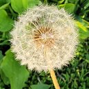 사진촬영(중급) 이미지