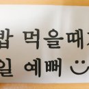 디오펫샵 이미지