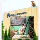 주식회사 제주테마투어 | 제주 신상 테마파크 돌코리숲 내돈내산 후기｜제주 서귀포 아이와 가볼만한 곳 관람소요시간까지