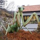 비주